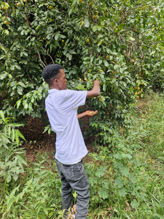 original 20230308 111705