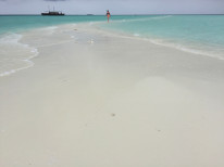 original IMG 8169