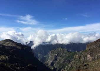 Bild Madeira - Trauminsel im Atlantik Reisebericht